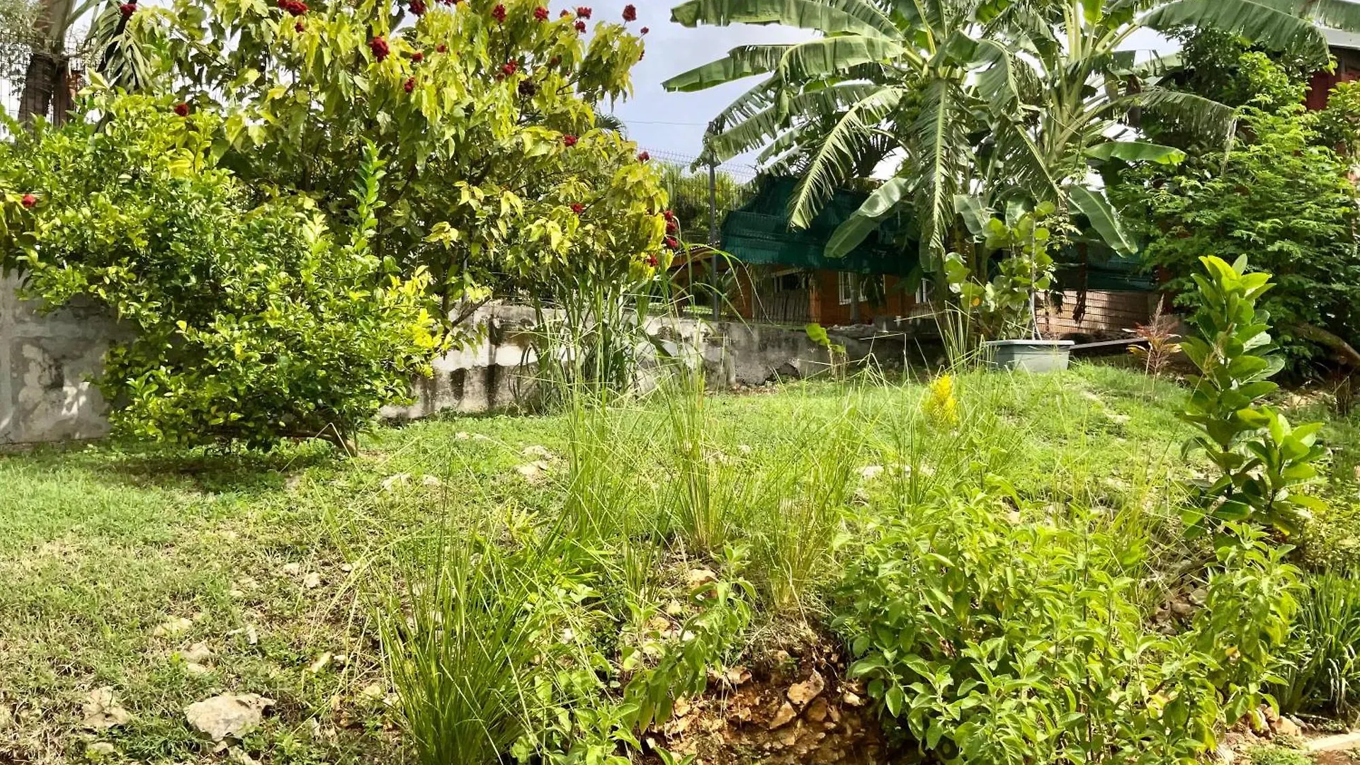Holiday home Lauxilliadora Kreol Lodge - Bord De Mer - Piscine Et Jacuzzi Sainte-Anne